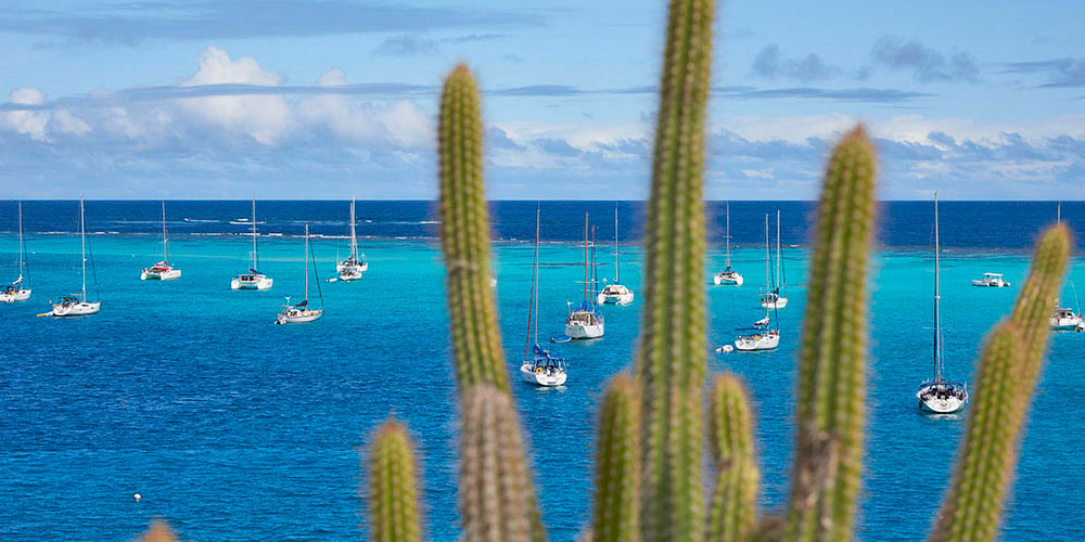 Blauwasser_Grenadinen_Tobago_Cays