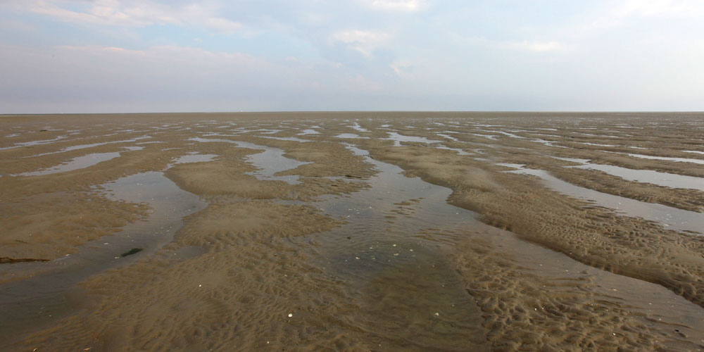 Blauwasser_Holland_Vlieland_beiboot_2