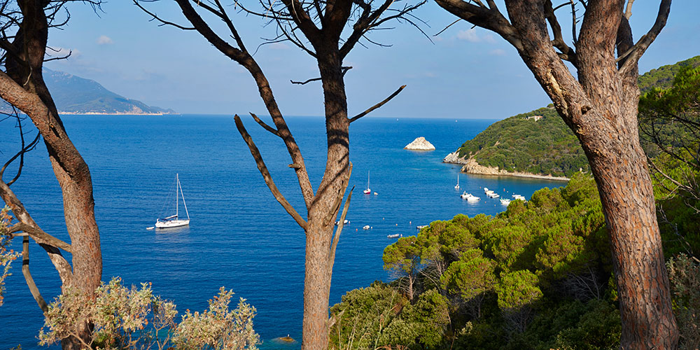 Blauwasser_Italien_Elba_Golfo_Viticcio