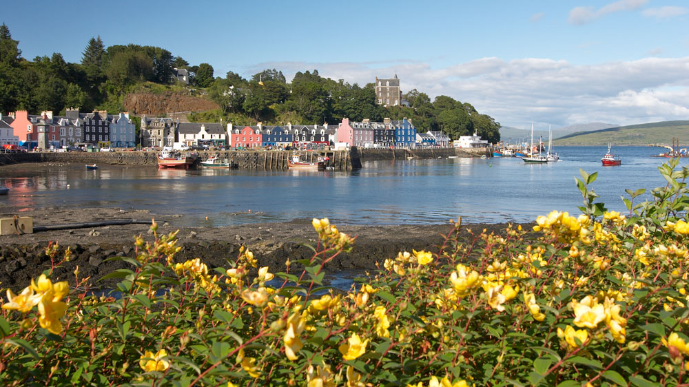Blauwasser_Schottland_Hebriden_Tobermory