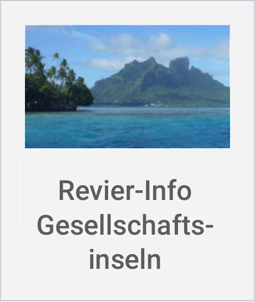 Cover-RI-Gesellschaftsineln