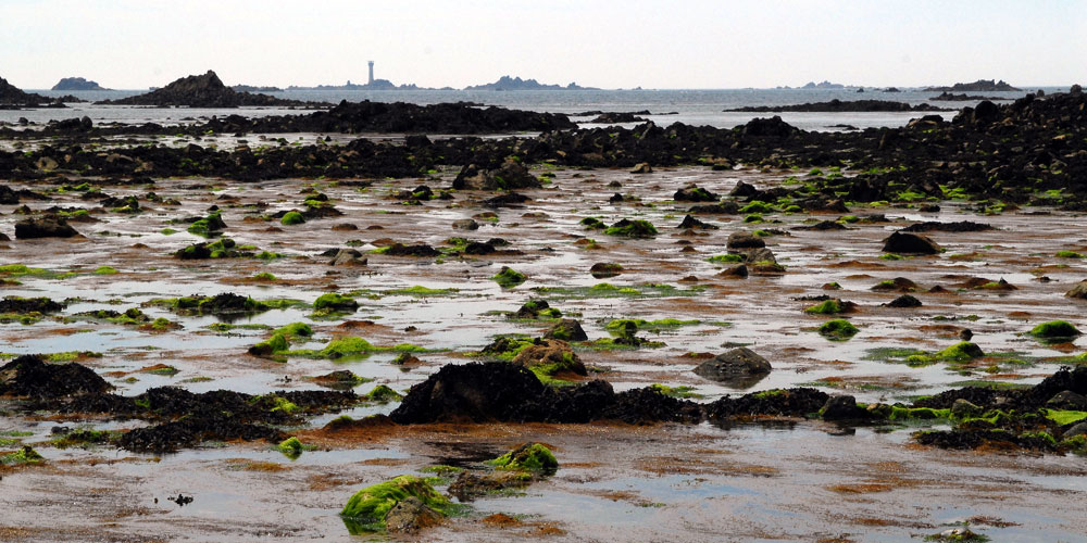 Guernsey_4_blauwasser