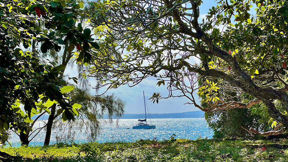 blauwasser_anbieter_yacht_sun_2