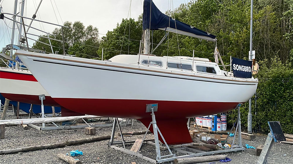 blauwasser_antifouling_b-free_glatt