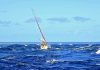 Südsee-Atoll-Tipps: Pässe, Korallen-Navigation und Ankerpraxis
