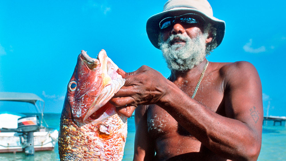 blauwasser_belize_frischer_fischfang