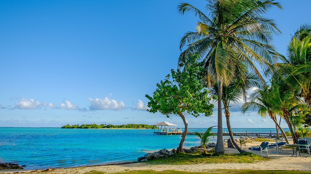 blauwasser_caymaninseln_revierinformationen_little_cayman