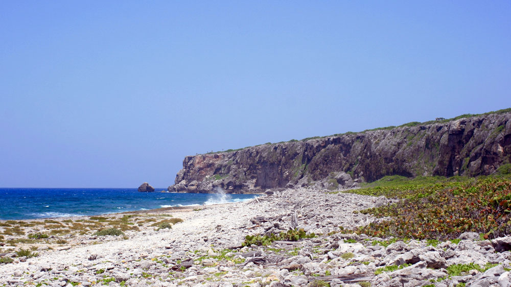 blauwasser_caymaninseln_revierinformationen_thebluff