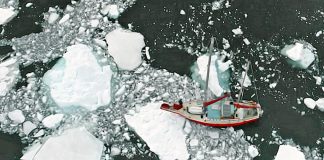 Segeln in hohen Breiten: Die verschiedenen Arten von Eis