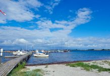 Hafen/Marina Føns Vig (Kleiner Belt)