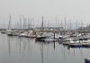 Cangas