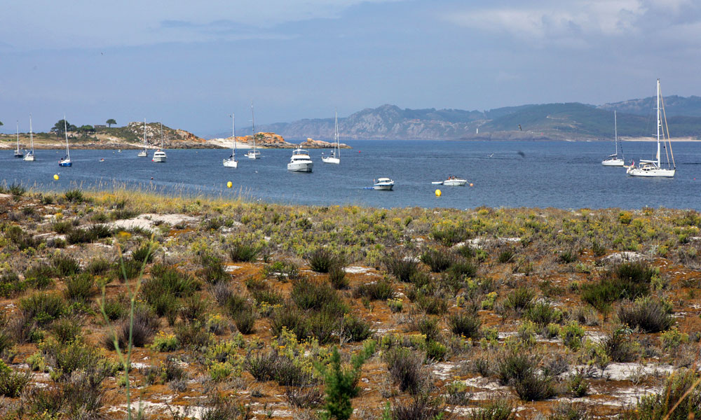 blauwasser_galizien_isla_cies_praia_das_rodas_3