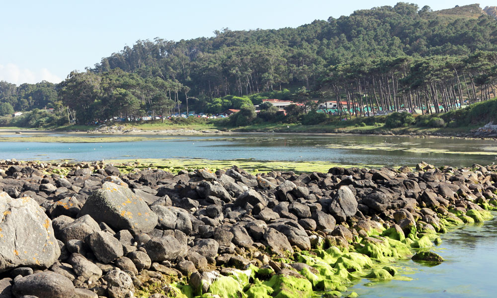 blauwasser_galizien_isla_cies_salzwassersee_1