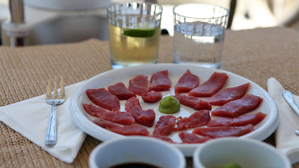 blauwasser_hochsee_angeln_ozean_sashimi