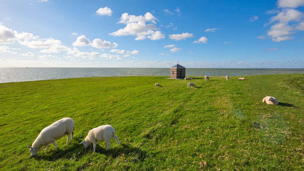 blauwasser_holland_ijsselmeer_hindeloopen_deich