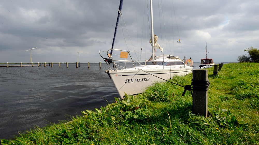 blauwasser_holland_randmeere_dode_hond