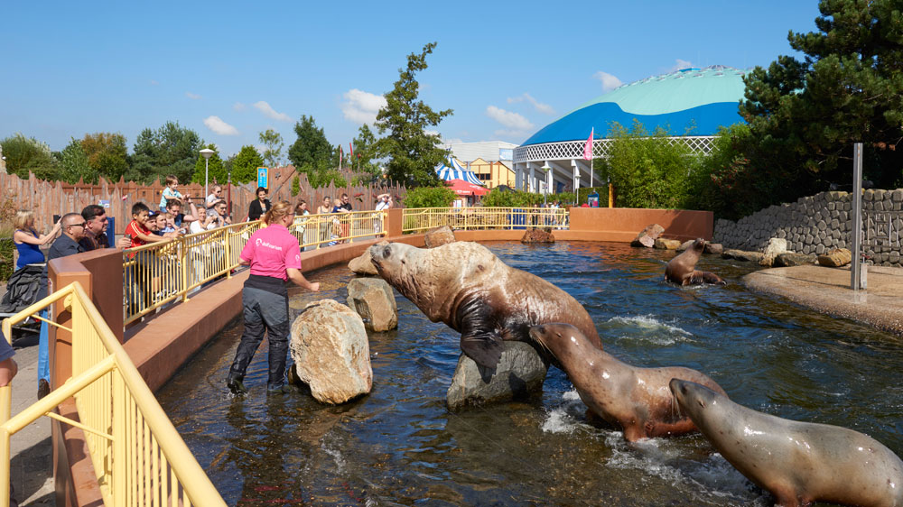 blauwasser_holland_randmeere_harderwijk_dolfinarium