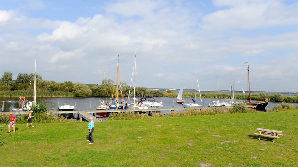 blauwasser_holland_randmeere_insel_huizerhoef_rasen