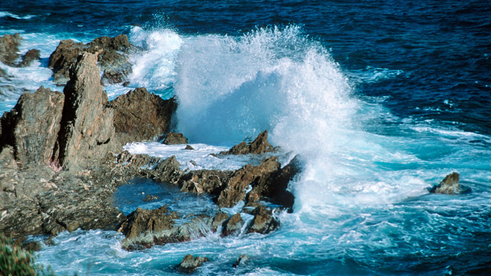 blauwasser_iles_hyeres_felsen