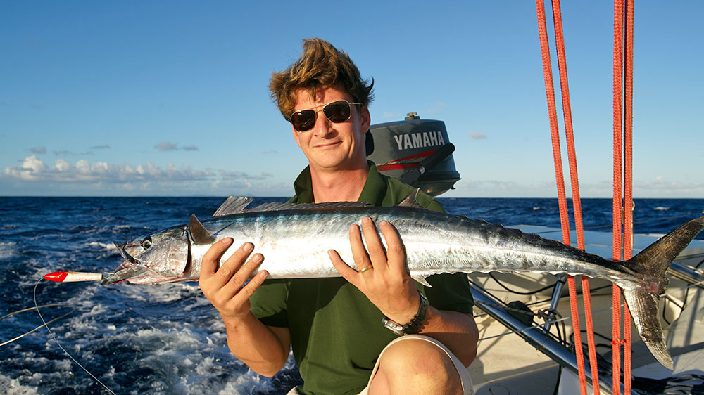blauwasser_karibik_leeward_islands_barracuda