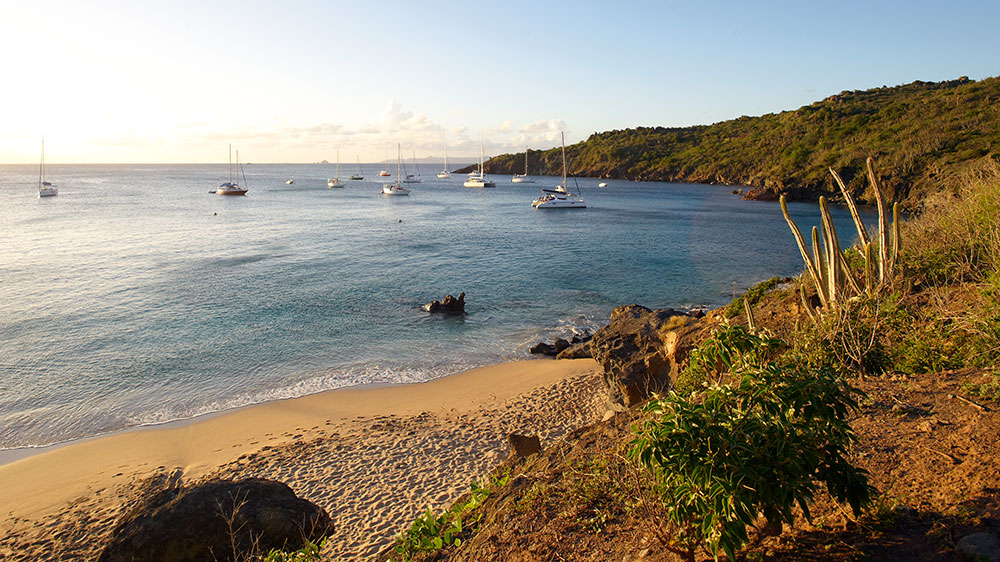 blauwasser_karibik_leeward_islands_st_barth_anse_de_columbier