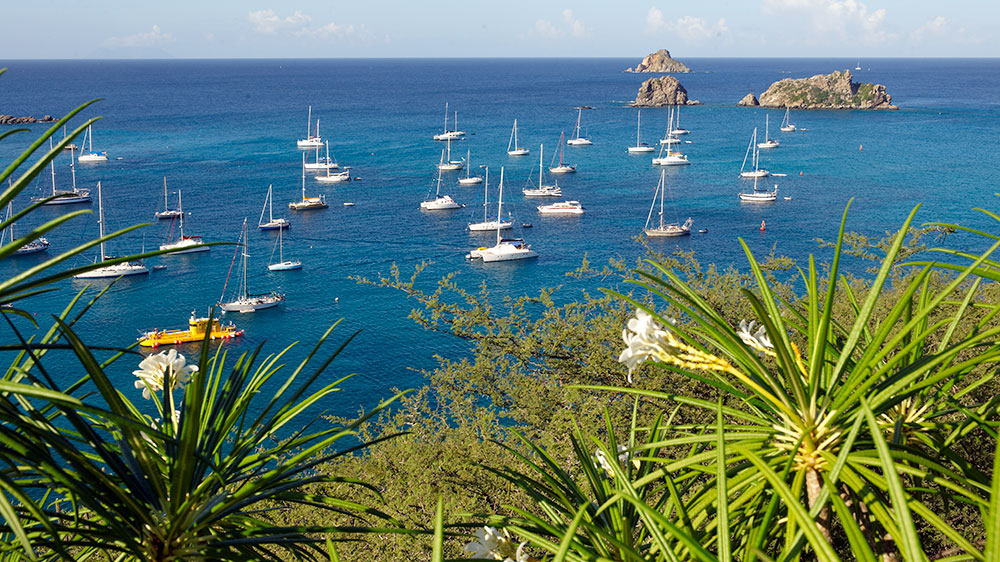 blauwasser_karibik_leeward_islands_st_barth_gustavie_ankerplatz
