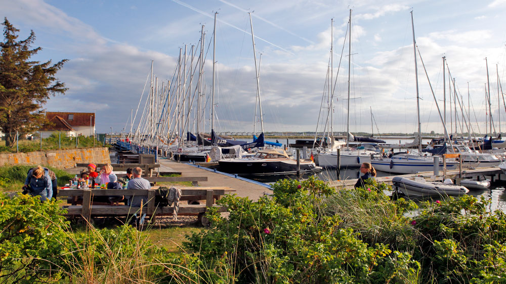 blauwasser_liegeplatz_hafen_schleimuende_grilplaetze