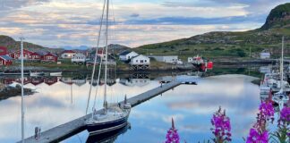 Træna – Hafen/Marina Husøy (Norwegen)