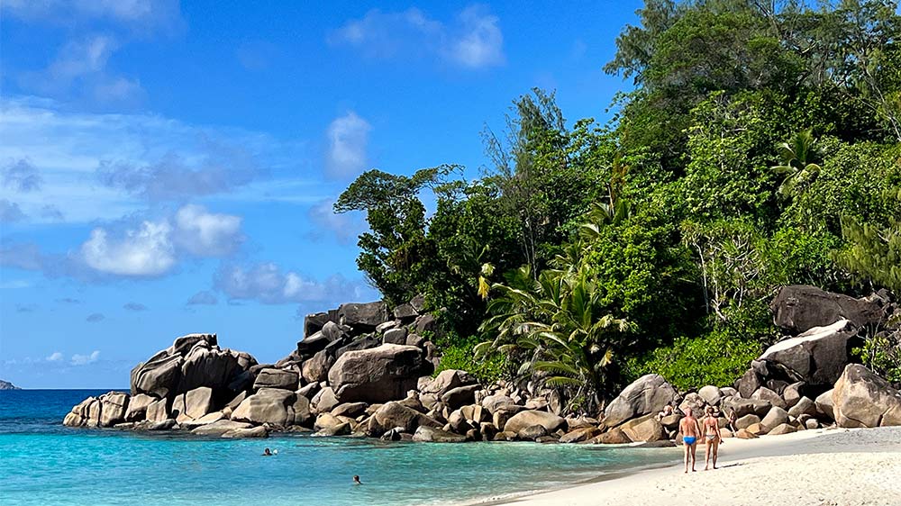 blauwasser_liegeplatz_seychellen_anse_georgette_natur