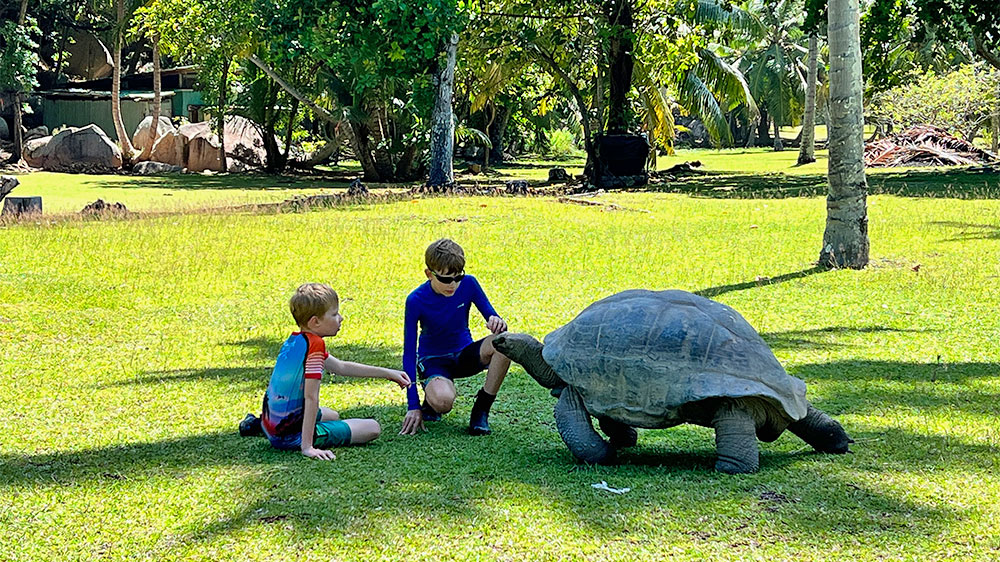 blauwasser_liegeplatz_seychellen_grande_soeur_schildkroeten