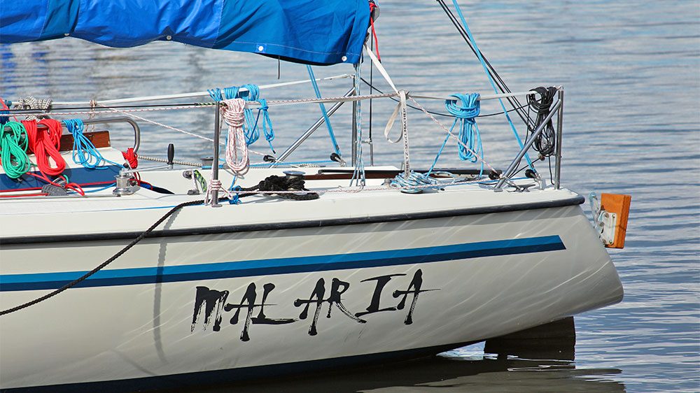 blauwasser_malaria_dengue_chikungunya_boot