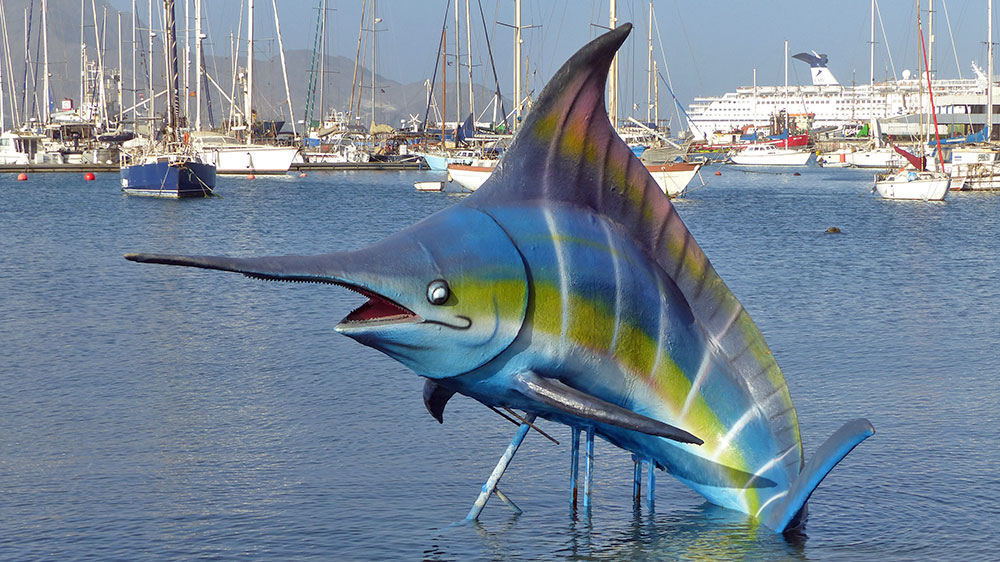 blauwasser_marina_atlantik_kapverden_mindelo_fisch_MK