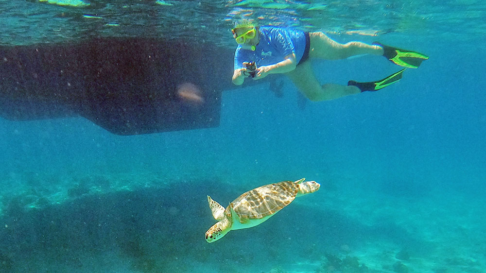 blauwasser_marina_bahamas_exumas_warderick_wells_abwechslungsreich_unterwasser