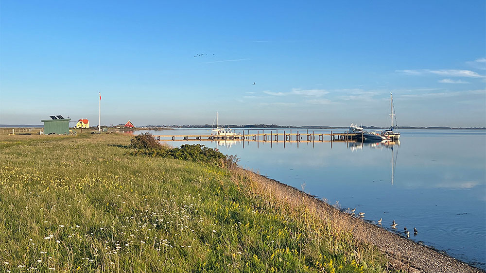 blauwasser_marina_daenemark_albuen_steganlage_1