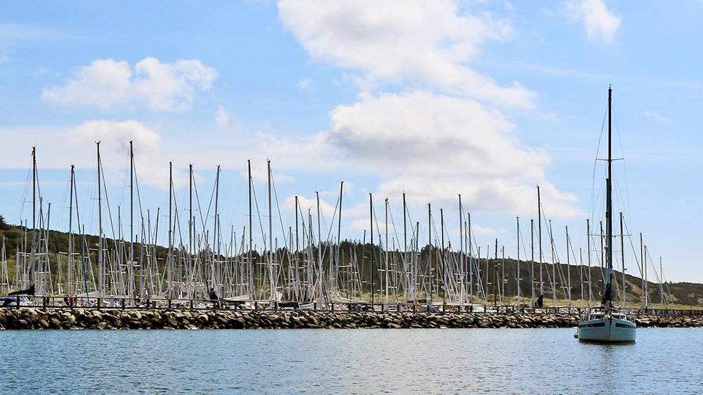 blauwasser_marina_daenemark_anholt_ankern
