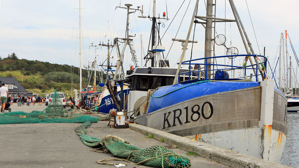 blauwasser_marina_daenemark_anholt_fischer