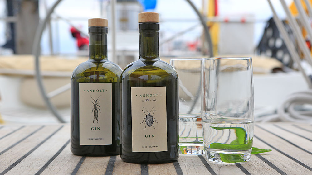 blauwasser_marina_daenemark_anholt_gin