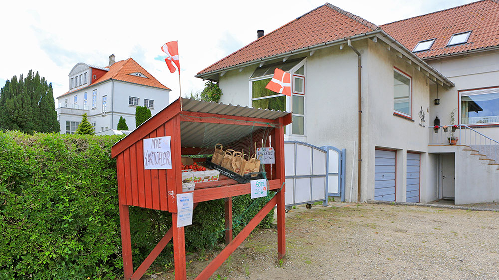 blauwasser_marina_daenemark_augustenborg_verkaufsstand