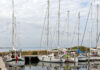 Hafen/Marina Birkholm (Dänemark)