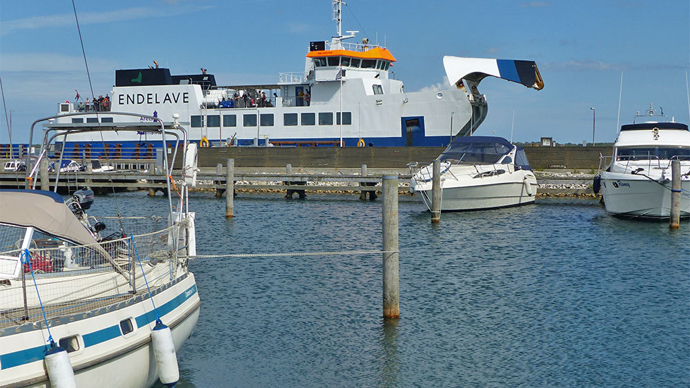 blauwasser_marina_daenemark_endelave_faehre