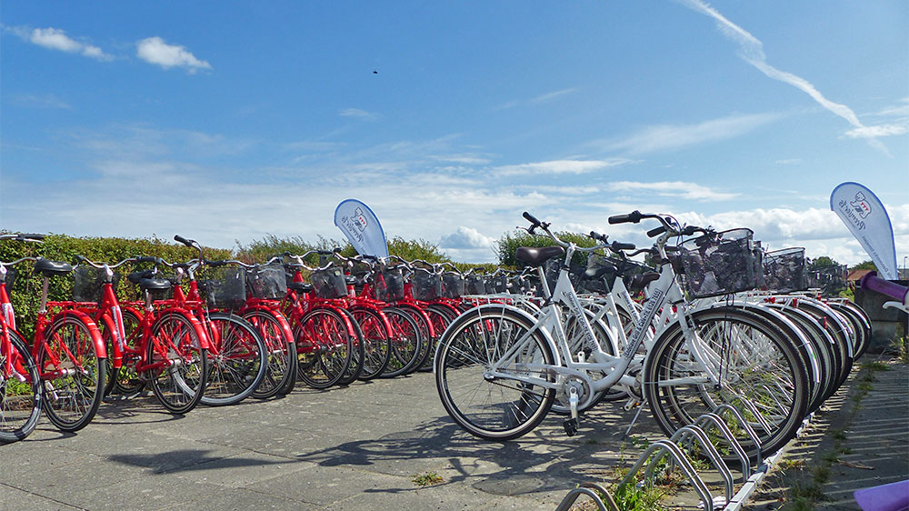 blauwasser_marina_daenemark_endelave_fahrrad