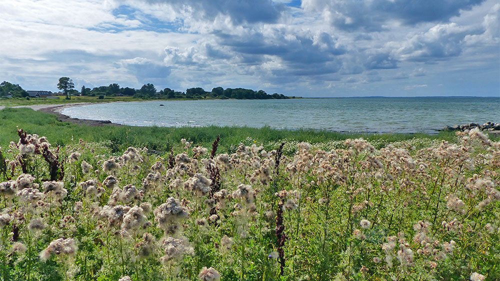 blauwasser_marina_daenemark_endelave_strand