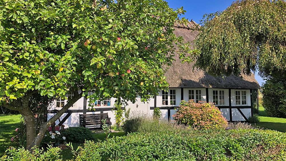 blauwasser_marina_daenemark_festland_drejoe_haus