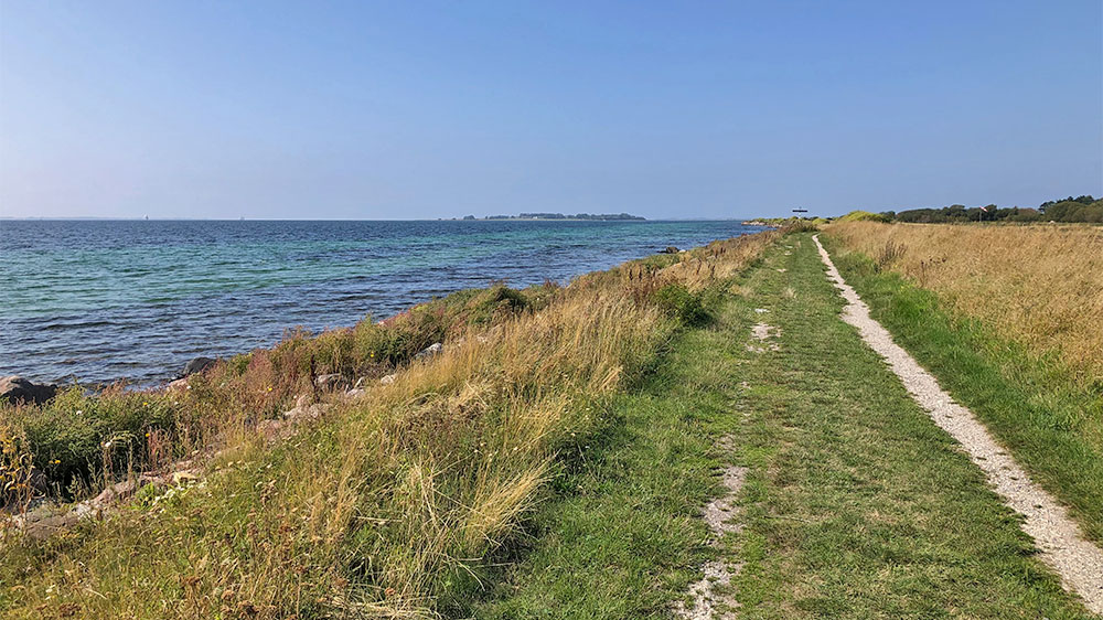 blauwasser_marina_daenemark_festland_drejoe_wandern