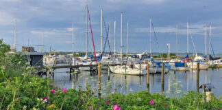 Hafen/Marina Kragenæs (Dänemark)