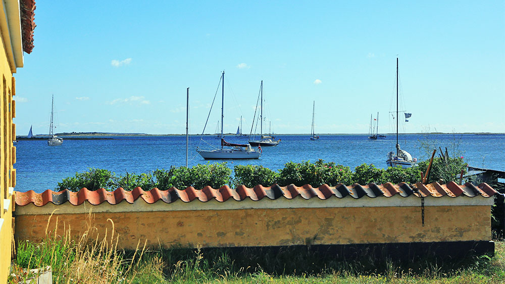 blauwasser_marina_daenemark_samso_langor_ankerlieger