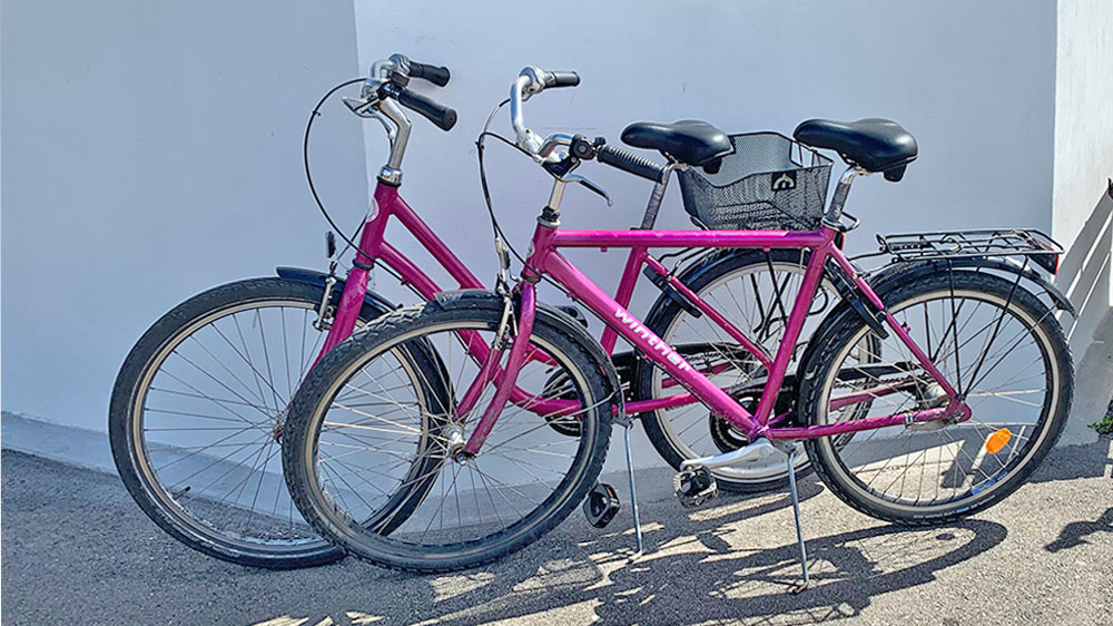 blauwasser_marina_daenemark_samso_langor_hauptverkehrsmittel