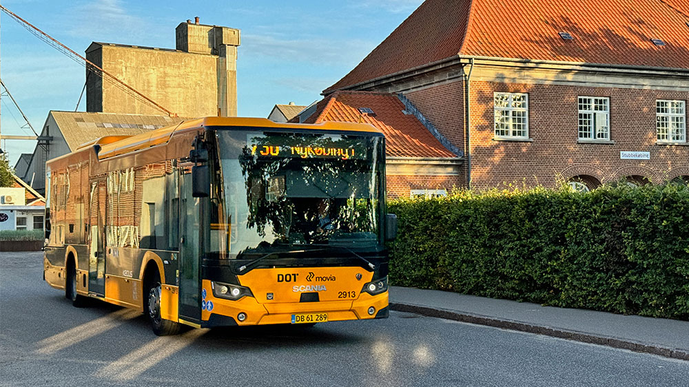 blauwasser_marina_daenemark_stubbekoebing_bus