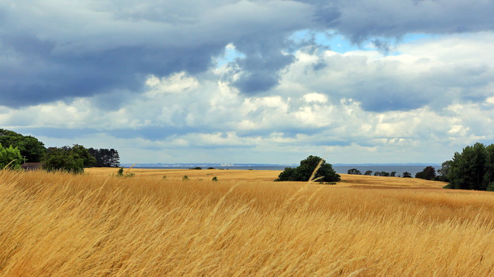 blauwasser_marina_daenemark_tuno_kornfeld