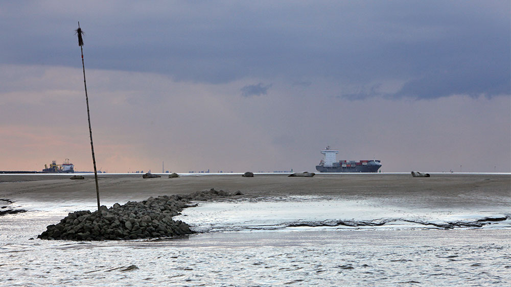 blauwasser_marina_deutschland_elbe_oste_neuhaus_robben